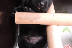 DSCN0037