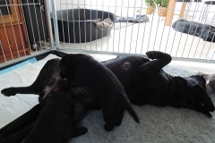 DSCN0158