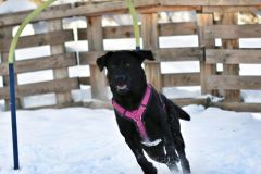 WhatsApp-Image-2024-11-24-at-10.16.29