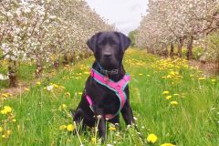 WhatsApp-Image-2025-03-19-at-10.33.50