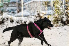 WhatsApp-Image-2026-03-17-at-12.07.19