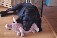 WhatsApp-Image-2026-03-17-at-12.11.43