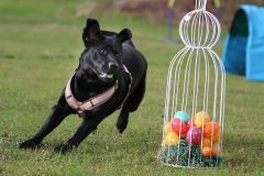 WhatsApp-Image-2026-03-17-at-12.11.431