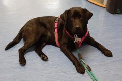 WhatsApp-Image-2026-03-17-at-12.11.433