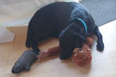 WhatsApp-Image-2026-03-17-at-12.13.13