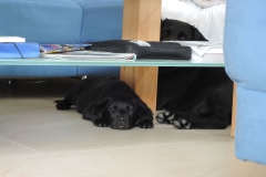 DSCN0327
