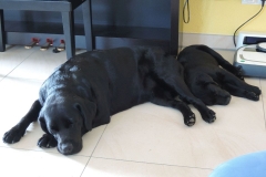 DSCN0361