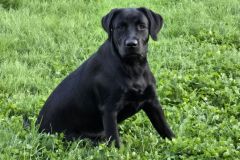 IMG-20240730-WA0005