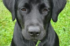 IMG-20240819-WA00211