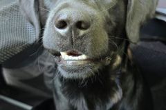 IMG-20240824-WA00141