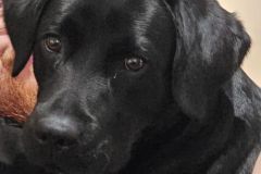 IMG-20241216-WA0028