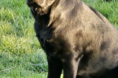 IMG-20250407-WA0028
