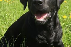 IMG-20250416-WA0018