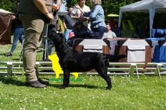 IMG-20250429-WA0040