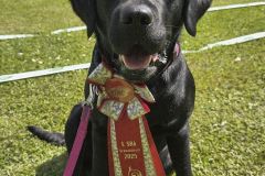 IMG-20250601-WA0018