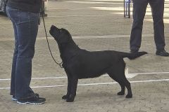 IMG-20260112-WA0153