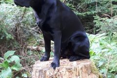 WhatsApp-Image-2020-07-20-at-10.11.13