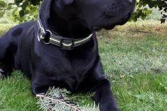 WhatsApp-Image-2020-09-06-at-17.25.23