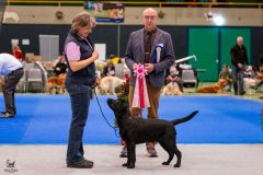 594356283_895613939802695_8810233559100898485_n