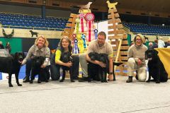 595238980_4225423784337338_1919295455633252602_n