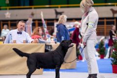 595869710_895482956482460_8176012648875121713_n