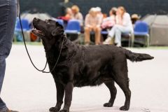 595902512_895483583149064_6092718426472333945_n