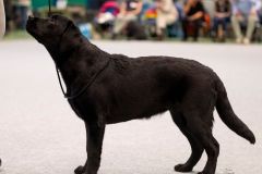 595910003_895482899815799_188475677995265566_n