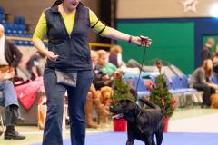 595913907_895963203101102_5028023884526663694_n