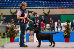 595996185_895613926469363_1015211394285812439_n