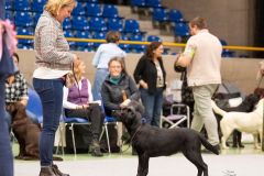 596803908_895482946482461_2482556600972081213_n