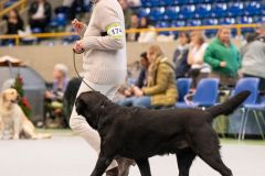 596805528_895484266482329_372148537504833198_n