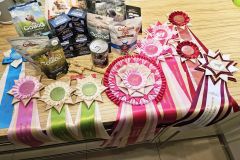 596983488_4225423747670675_3574835978507343537_n