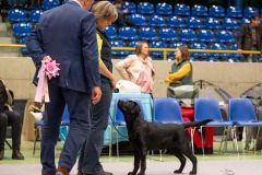 597308725_895484499815639_8875271149738484007_n