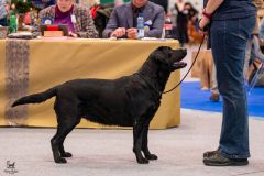 597352574_895611696469586_1898880691553865662_n