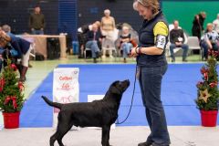 597554985_895483589815730_3754136188066257846_n