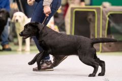 597611238_895482966482459_3479216069206269142_n