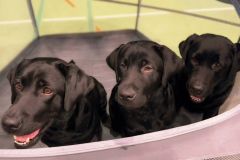 597691466_4225423824337334_5556906155699237878_n