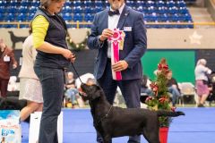 597828119_895484376482318_6664413223016895488_n