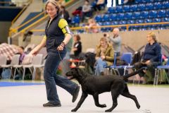 597830854_895486406482115_5064297898581049909_n