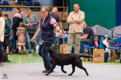 597832548_895616496469106_3328490659308096135_n