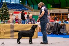 597860649_895613356469420_1117124114863505968_n