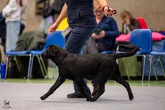 597871635_895610949802994_3608422227836297781_n