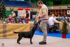 597894294_895613689802720_5820555917773591254_n