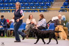 597895296_895614163136006_2540151826768696200_n