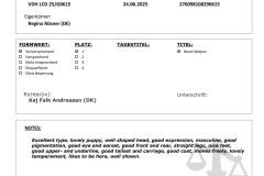 597901864_4225467120999671_7697010194654303498_n