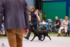 598166353_895611763136246_6861886329091310468_n