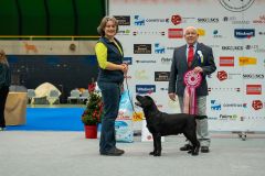 598168694_895949686435787_3784890504796701748_n