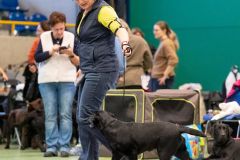 598243087_895483109815778_3637571042647902714_n